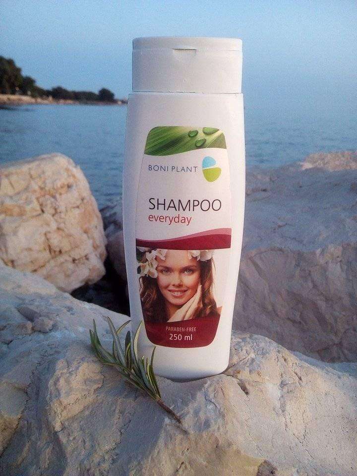 shampoo-every-day-odmor-more